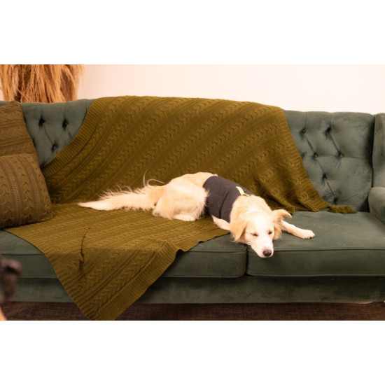 Vesta Calm Pet Nr. 5 – Vestă de calmare pentru câini anxioși (14–24 kg)